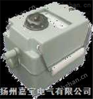 ZC25兆欧表